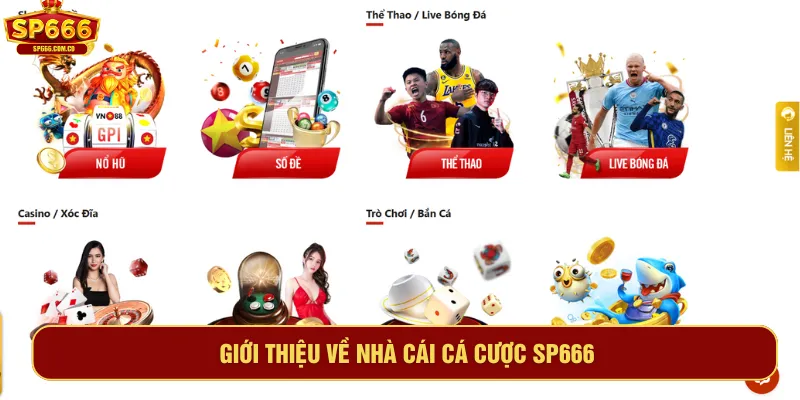 SP666 là sân chơi giải trí online uy tín hàng đầu hiện nay